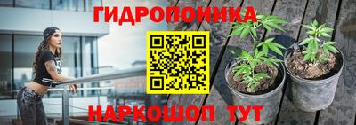прущие грибы Лесосибирск