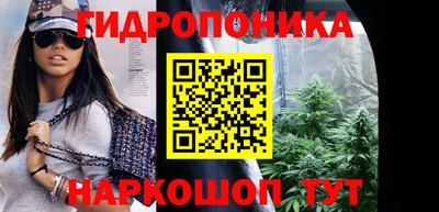 прущие грибы Лесосибирск