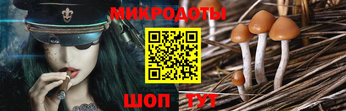 Псилоцибиновые грибы мицелий Тобольск